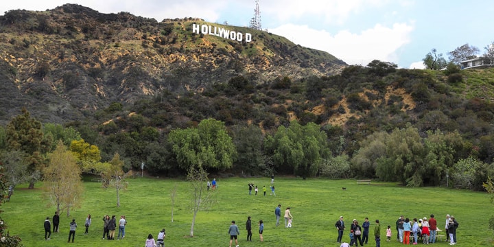 As pessoas estão num prado verde, ao fundo, o letreiro de Hollywood.