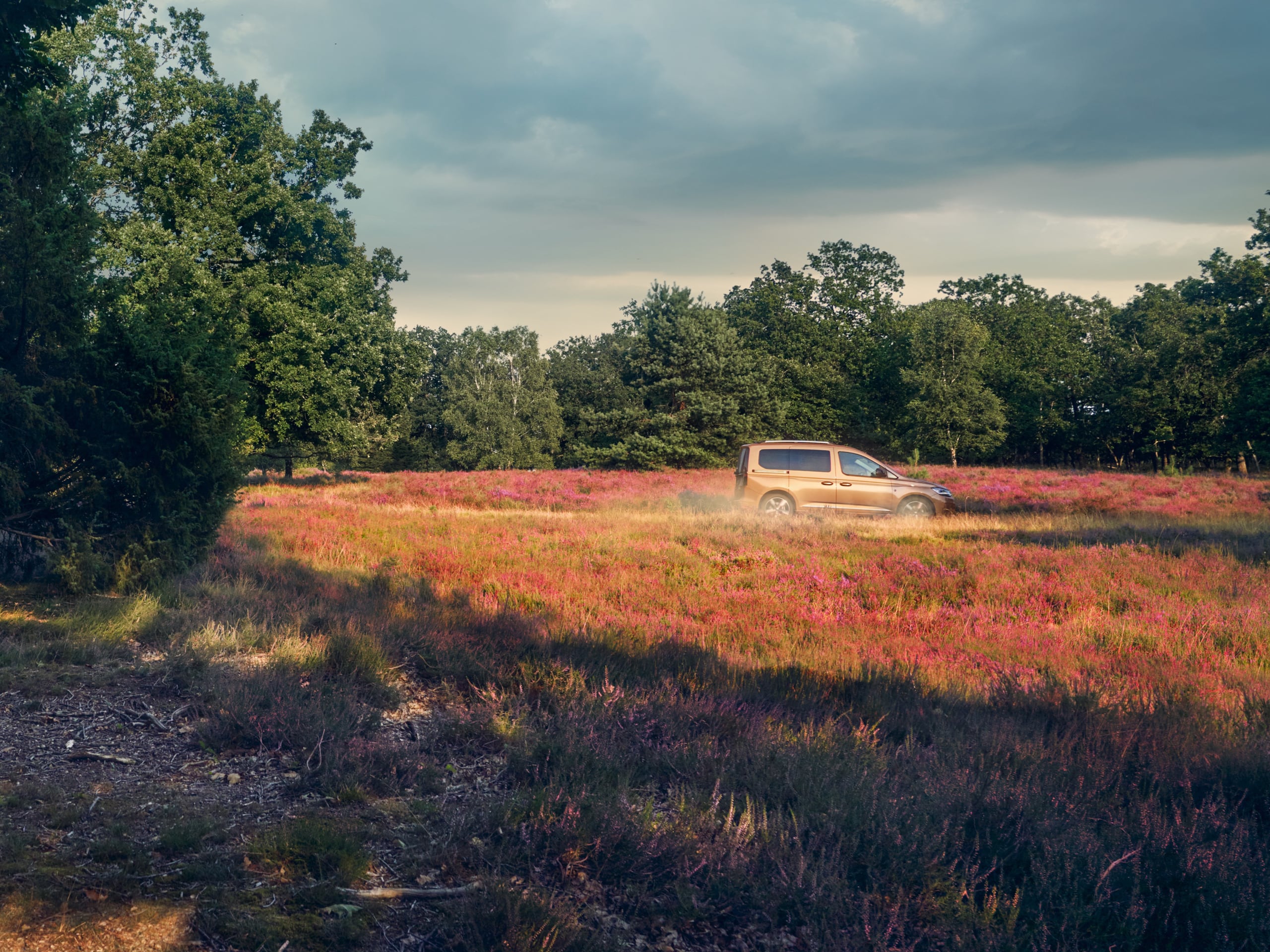 Uma Volkswagen Caddy numa estrada rural