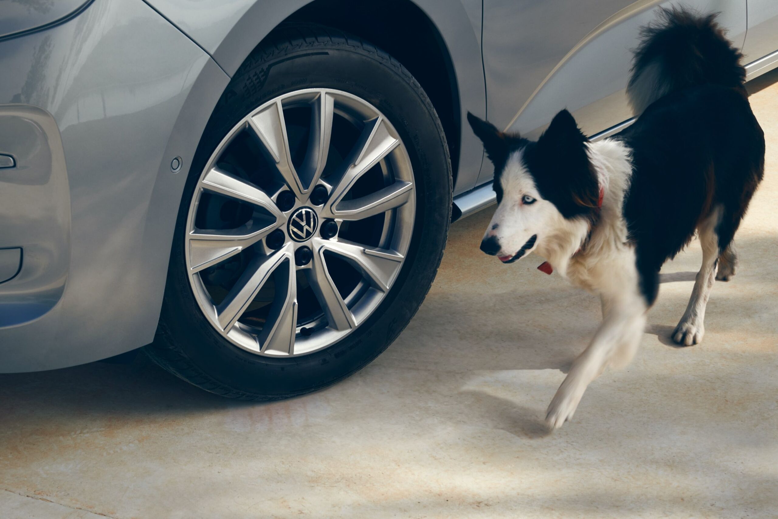 Um cão ao lado do Multivan Life da Volkswagen.