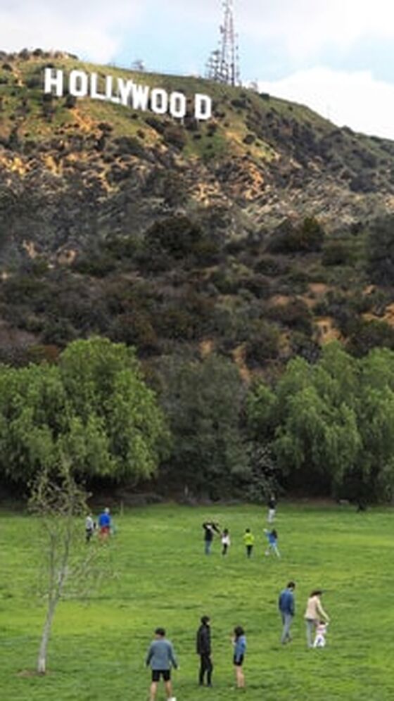 As pessoas estão num prado verde, ao fundo, o letreiro de Hollywood.